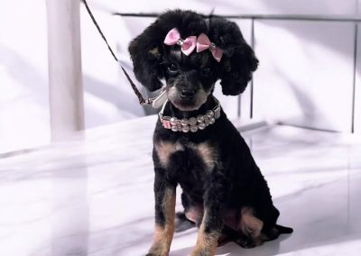 Visa's sweet and sassy -- a great mom!