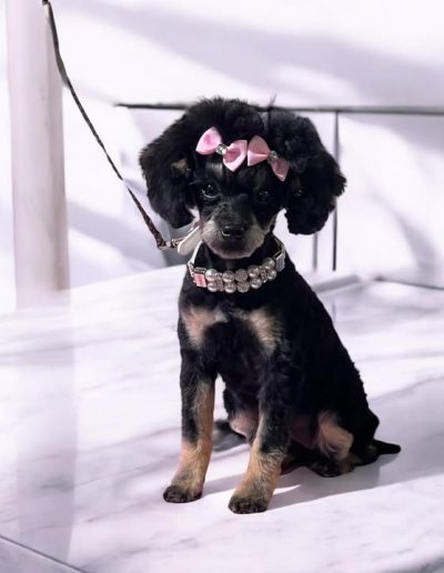 Visa's sweet and sassy -- a great mom!